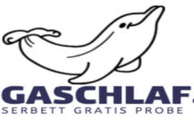 Wasserbett T-Shirt Logo