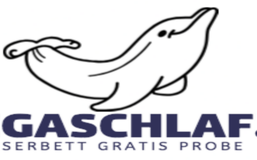 Wasserbett T-Shirt Logo