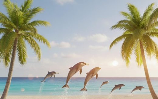 Wasserbett Erfahrungen Megaschlaf: „Wir lieben es!“