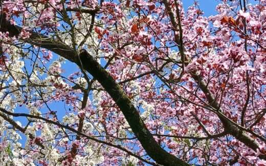 Wasserbett Beratung Megaschlaf®