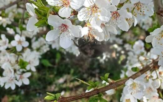 Wasserbett NEWS & PROMOS