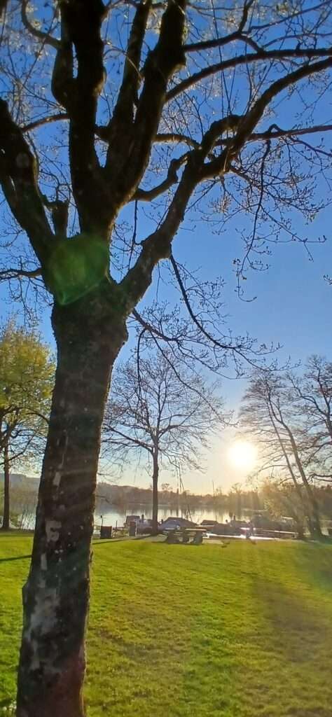 Sempachersee Sonnenuntergang