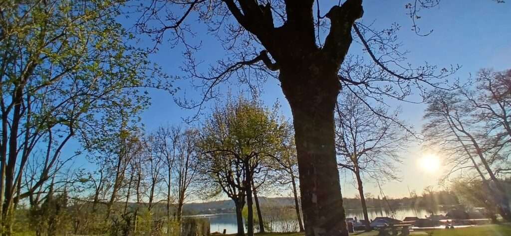 Sempachersee Sonnenuntergang