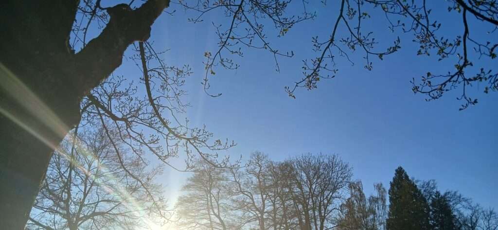 Sempachersee Sonnenuntergang