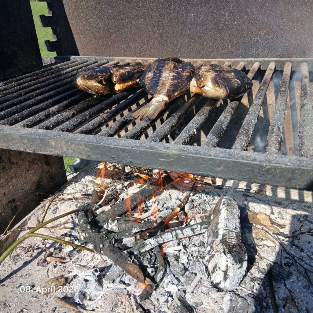 Sempachersee Fische grillen