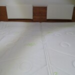 Wasserbett Foto Gallerie 2014 Wasserbett Foto Gallerie 2014