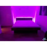 BIOwasserbett Nussbaum Kopfteil bündig Boden