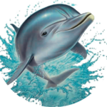 Wasserbett Schweiz: Megaschla® Wasserbetten AG